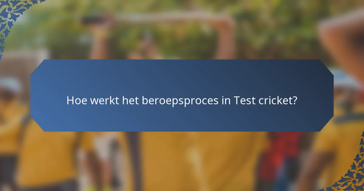 Hoe werkt het beroepsproces in Test cricket?
