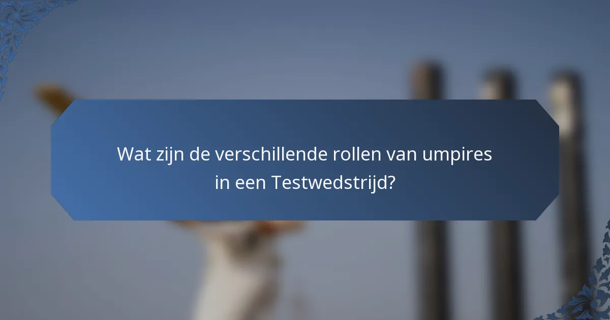 Wat zijn de verschillende rollen van umpires in een Testwedstrijd?